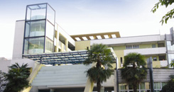 2016年成都小升初特长生招生方案图解